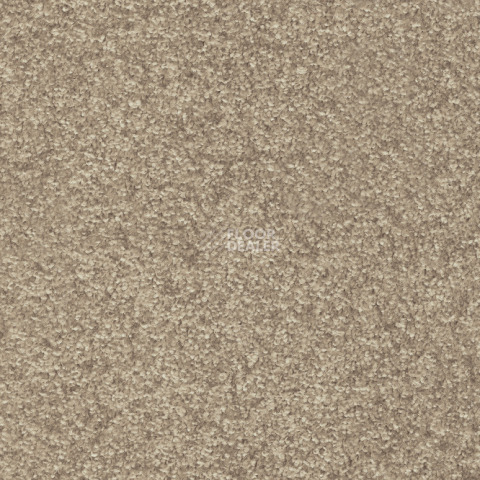 Ковролин  35 фото 1 | FLOORDEALER